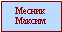 Месник Максим